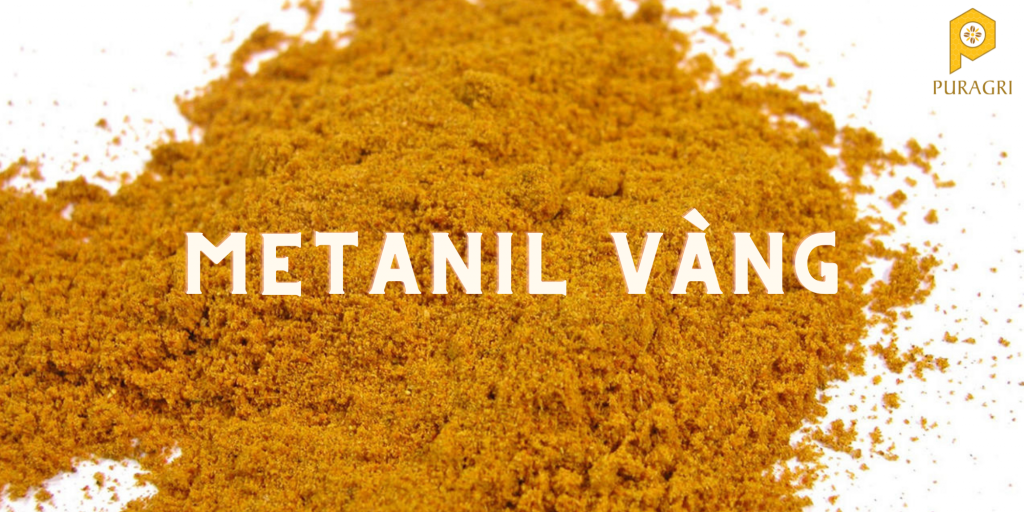 Tinh bột nghệ nguyên chất