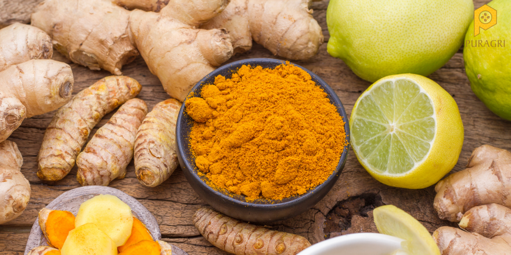 Tinh bột nghệ nguyên chất